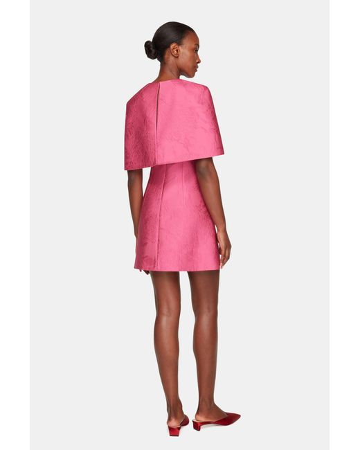 Emilia Wickstead Pink Virginie Cape
