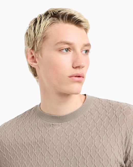 Emporio Armani Natural Virgin Wool Jumper With Embossed Jacquard Pattern for men