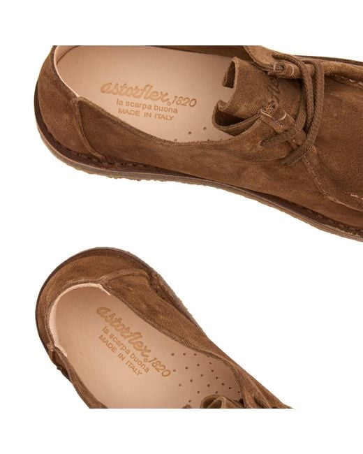 Astorflex Brown Beenflex Suede Shoes for men