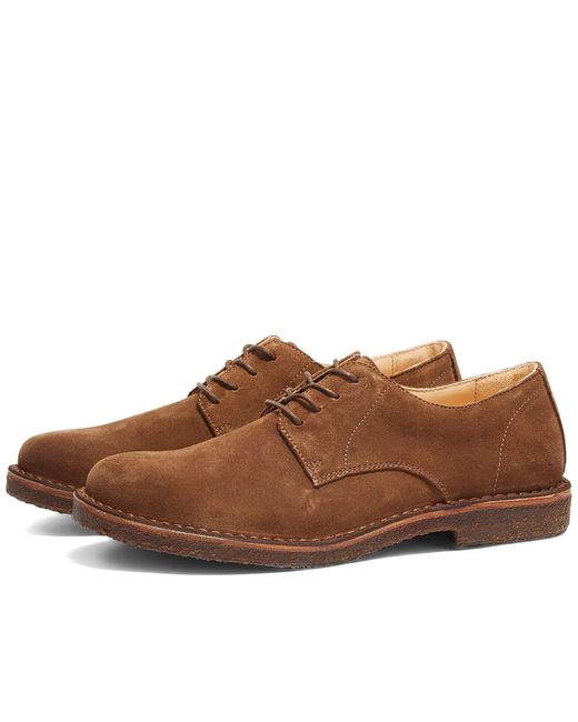 Astorflex Brown Cityflex Shoe for men