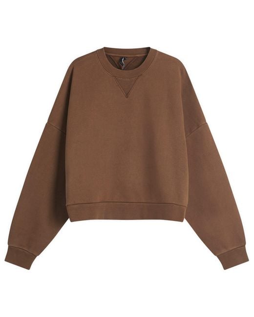 Entire studios Brown Box Crew Sweatshirt