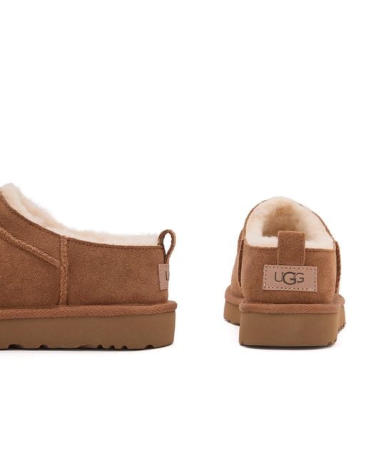 Ugg Brown Classic Micro Boot