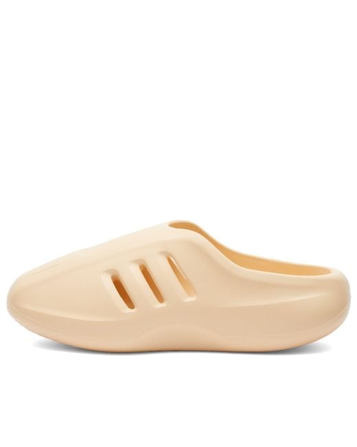 Adidas Natural Adifom Iiinfinity Mule for men