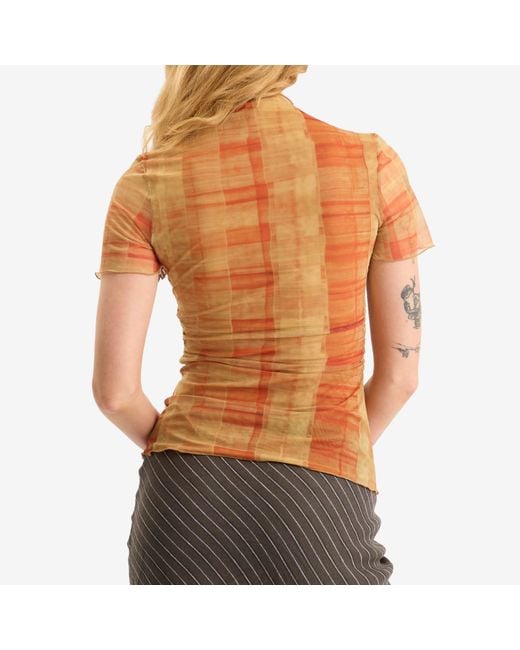 Sir Orange Ferrera Top