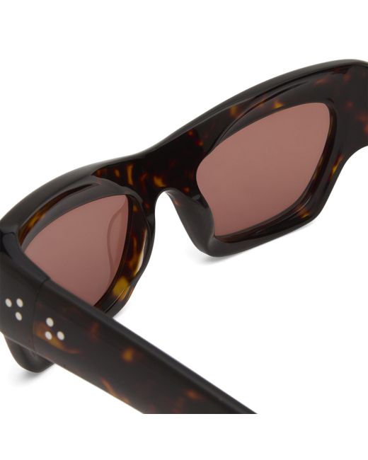 Port Tanger Brown Ayreen Sunglasses