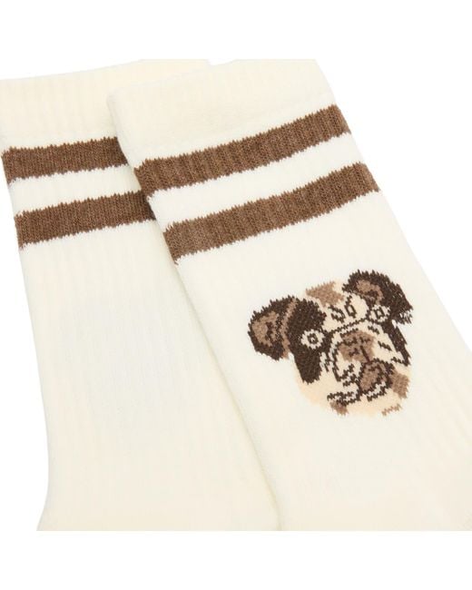 Rostersox Metallic Dog Socks