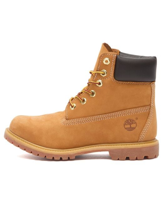 Timberland Brown 6" Lace Boot