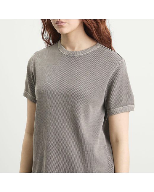 GIMAGUAS Gray Max T-Shirt
