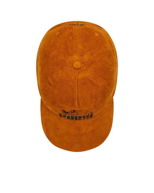 Brown top puma cap