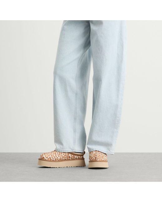 Ugg Brown Tazz Plains