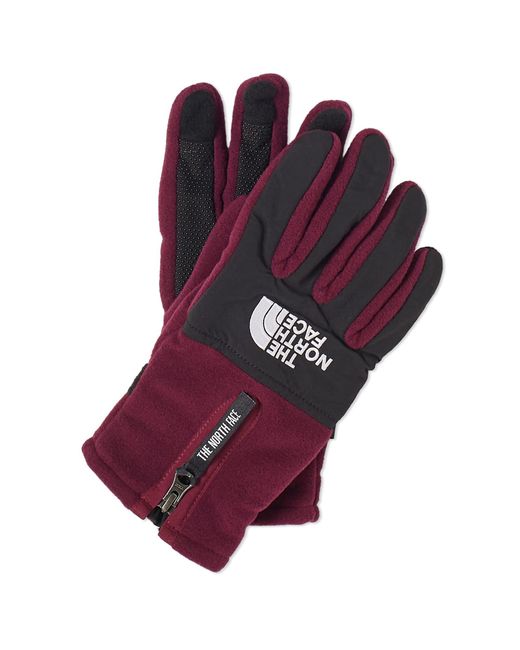 The North Face Purple Denali E-Tip Glove for men