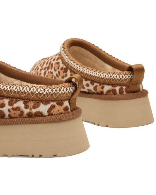 Ugg Brown Tazz Plains