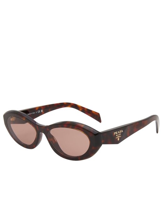 Prada Brown 26Zs Sunglasses