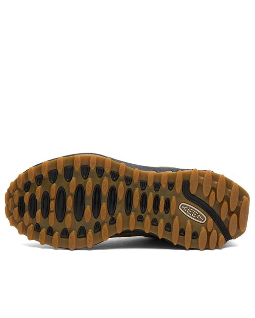 Keen Brown Jasper Zionic for men