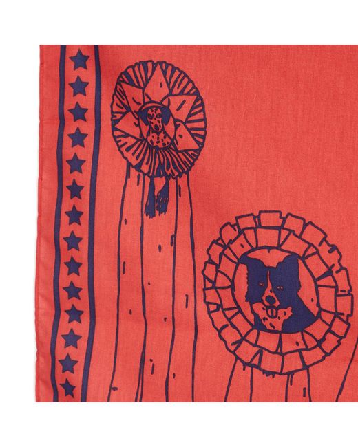 Hay Red Dog Scarf