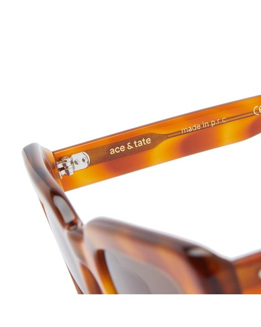 ACE & TATE Brown Jacques Sunglasses