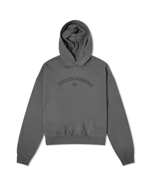 Dolce & Gabbana Gray Show Look Number Logo Hoodie for men
