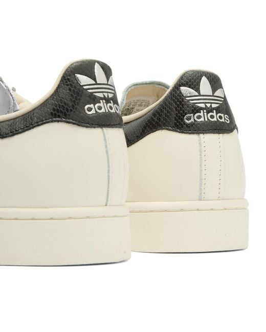 Adidas Natural Superstar Ii Sneaker