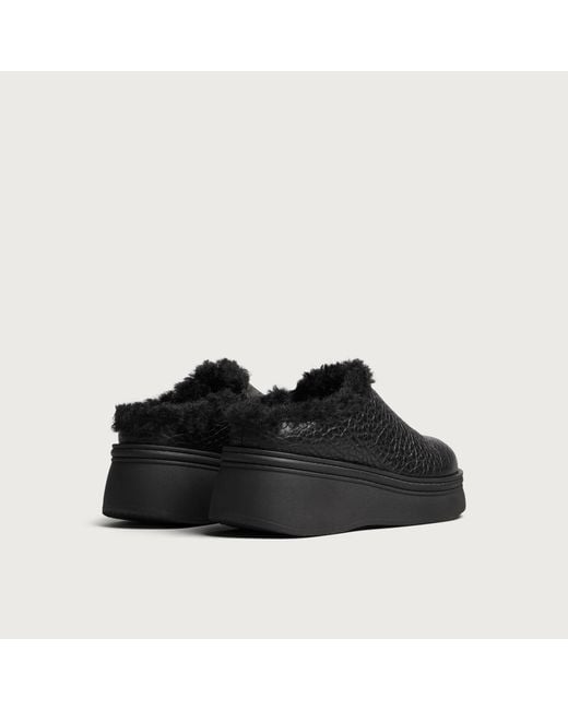 Miista Black Kristi Mules