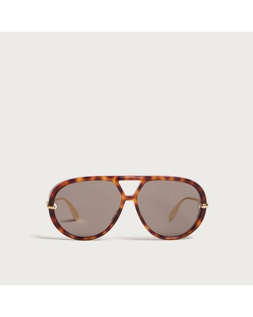 Bottega Veneta Brown Bottega Veneta Bv1274S Sunglasses