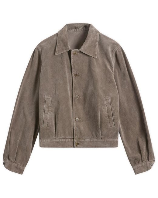 AURALEE Brown Pigment Dyed Finx Corduroy Blouson