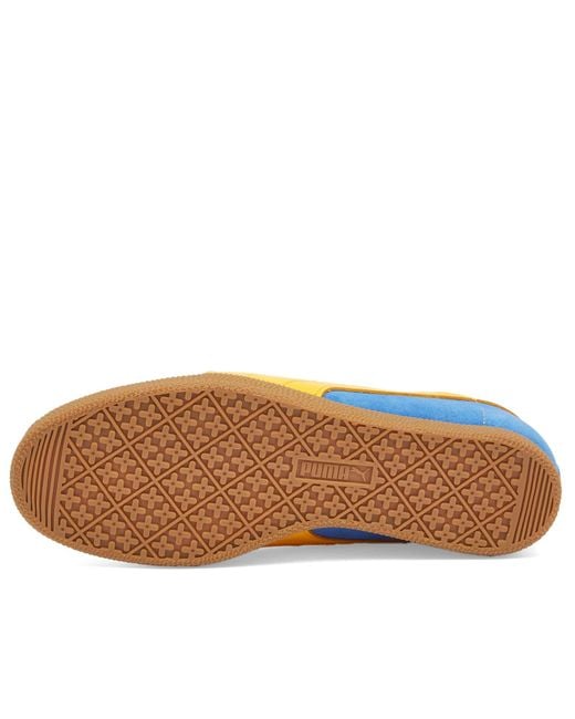 PUMA Blue Brasil