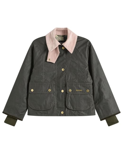 Barbour Multicolor Crop Beadnell Jacket