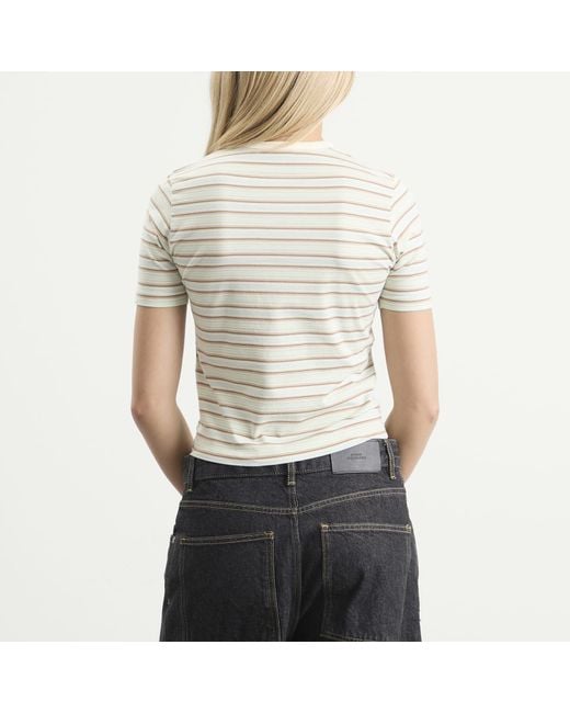 Auralee Natural Gradient Stripe T-Shirt