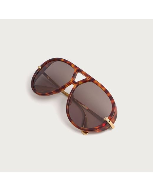 Bottega Veneta Brown Bottega Veneta Bv1274S Sunglasses