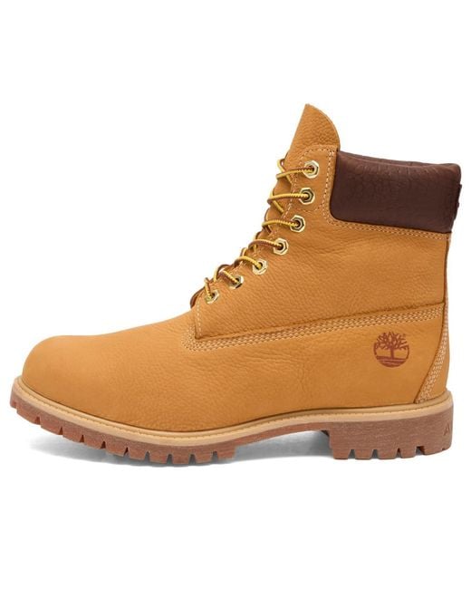 Timberland Brown X Avirex 6 Inch Boot for men