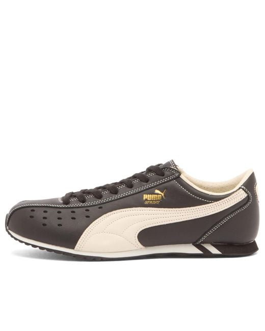 PUMA Brown Sprint Sneaker
