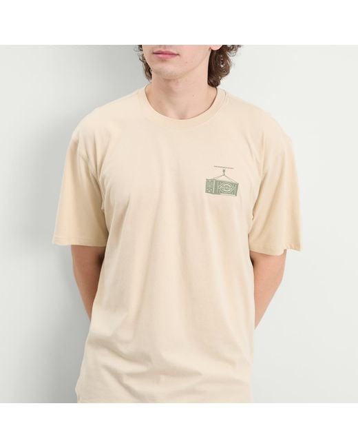 Dickies Natural Apison T-Shirt for men