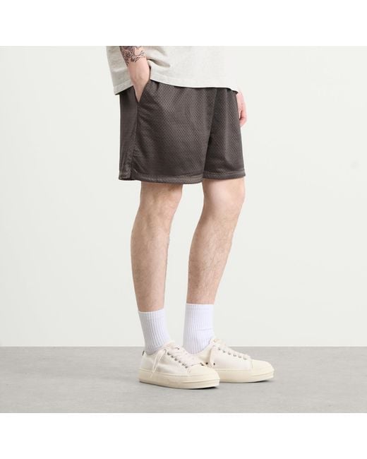 Represent Gray Washed Mesh Shorts for men
