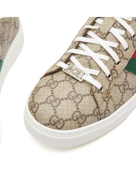 Gucci Metallic Lace Sneakers for men