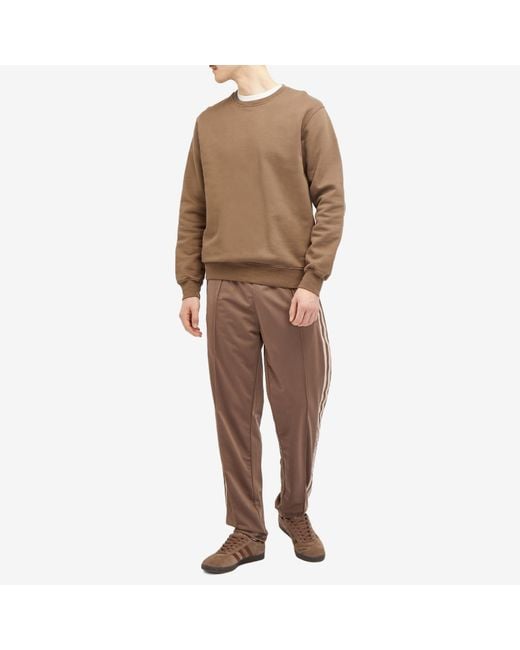 Adidas Brown Archive Track Pant for men
