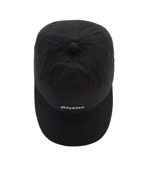 Dickies Black Premium Collection Ball Cap for men