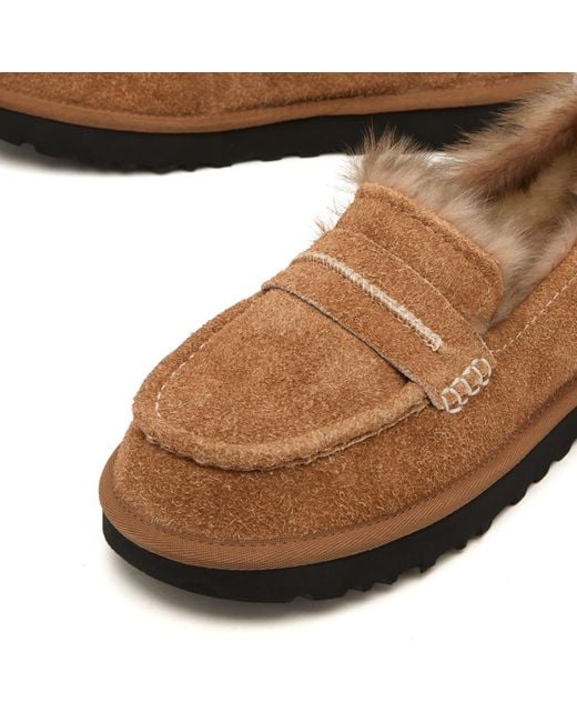 Ugg Brown Ellis Loafer