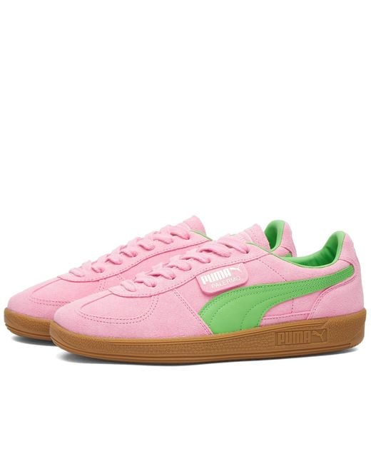 PUMA Pink Palermo Logo-tab Suede Low-top Trainers