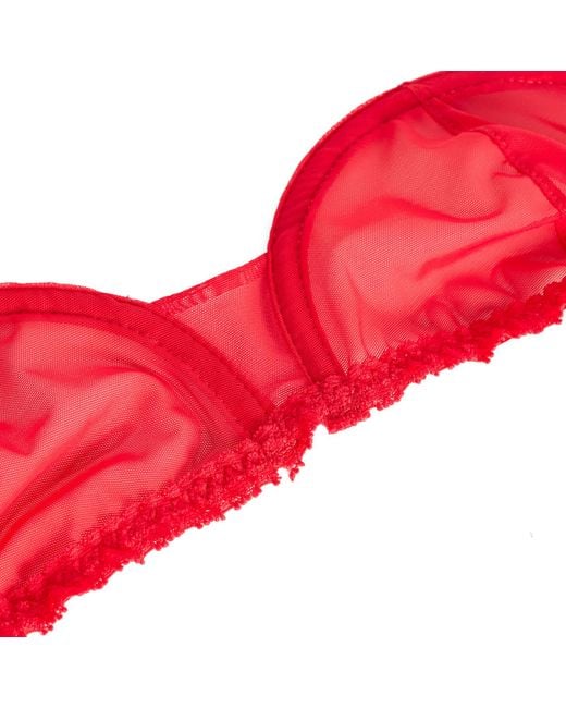 Fruity Booty Pink Moss Bra