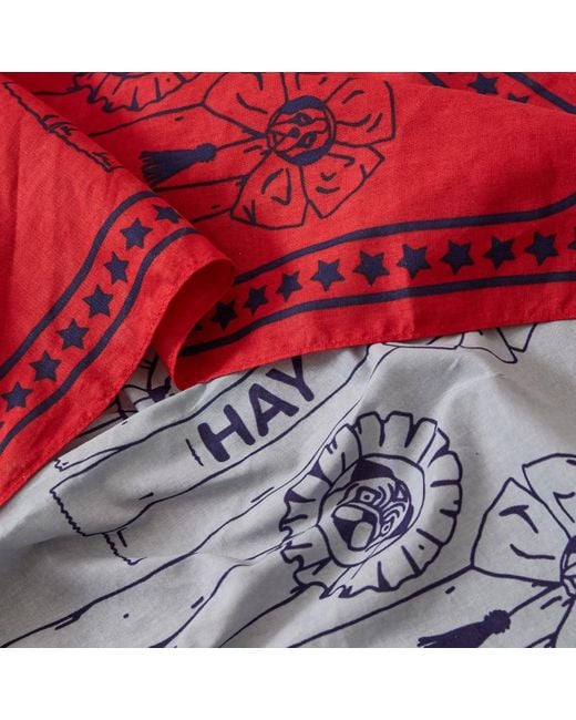 Hay Red Dog Scarf