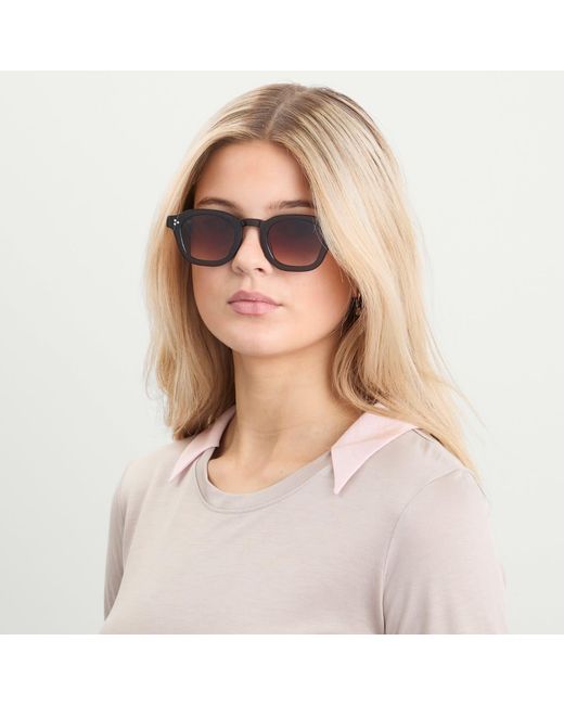 AKILA Brown Logos Sunglasses