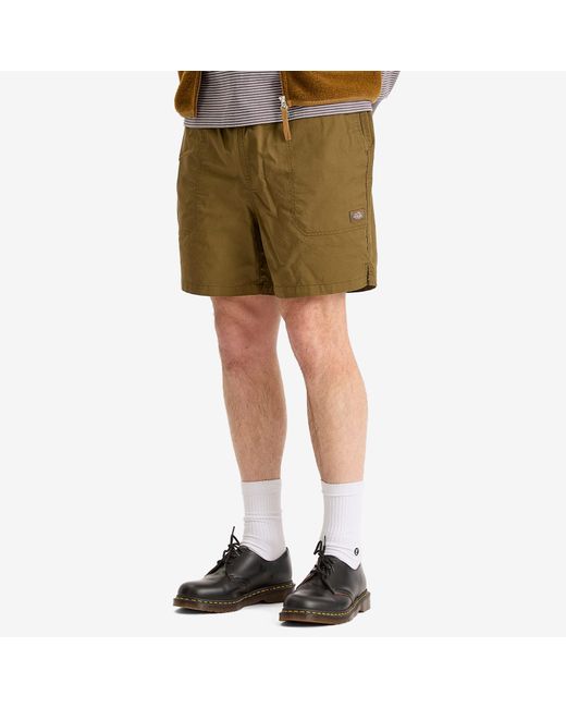 Dickies Green Pelican Rapids Swim Shorts for men