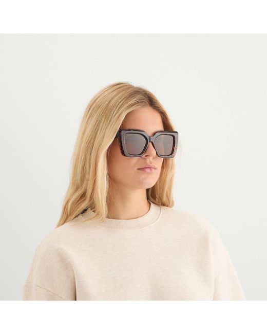 Le Specs Brown Unimaginable Sunglasses