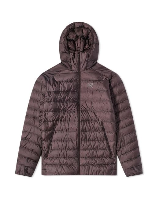 Arc'teryx Brown Cerium Lt Hooded Down Jacket for men