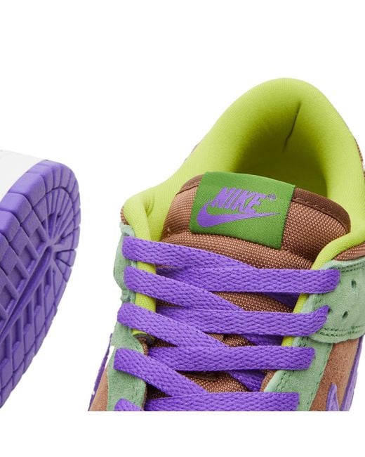 Nike Multicolor Dunk Low Sp Sneakers