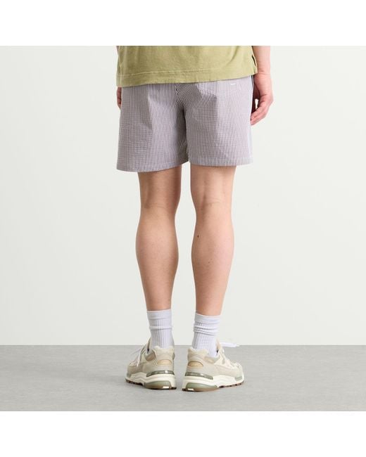 Polo Ralph Lauren Purple Stripe Traveler Swim Shorts for men