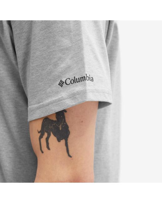 Columbia Gray Path Lake Peak Graphic Ii T-Shirt for men