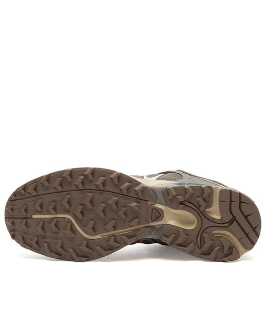 Salomon Brown Xt-Whisper Sneaker