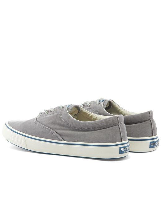 sperry top sider cvo