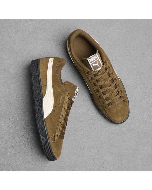 PUMA Brown Suede Sneaker for men
